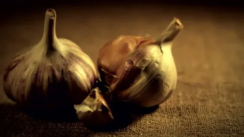 تصویر 4 از سیر سیاه ارومیه ستاره دخت با کیفیت تضمینی